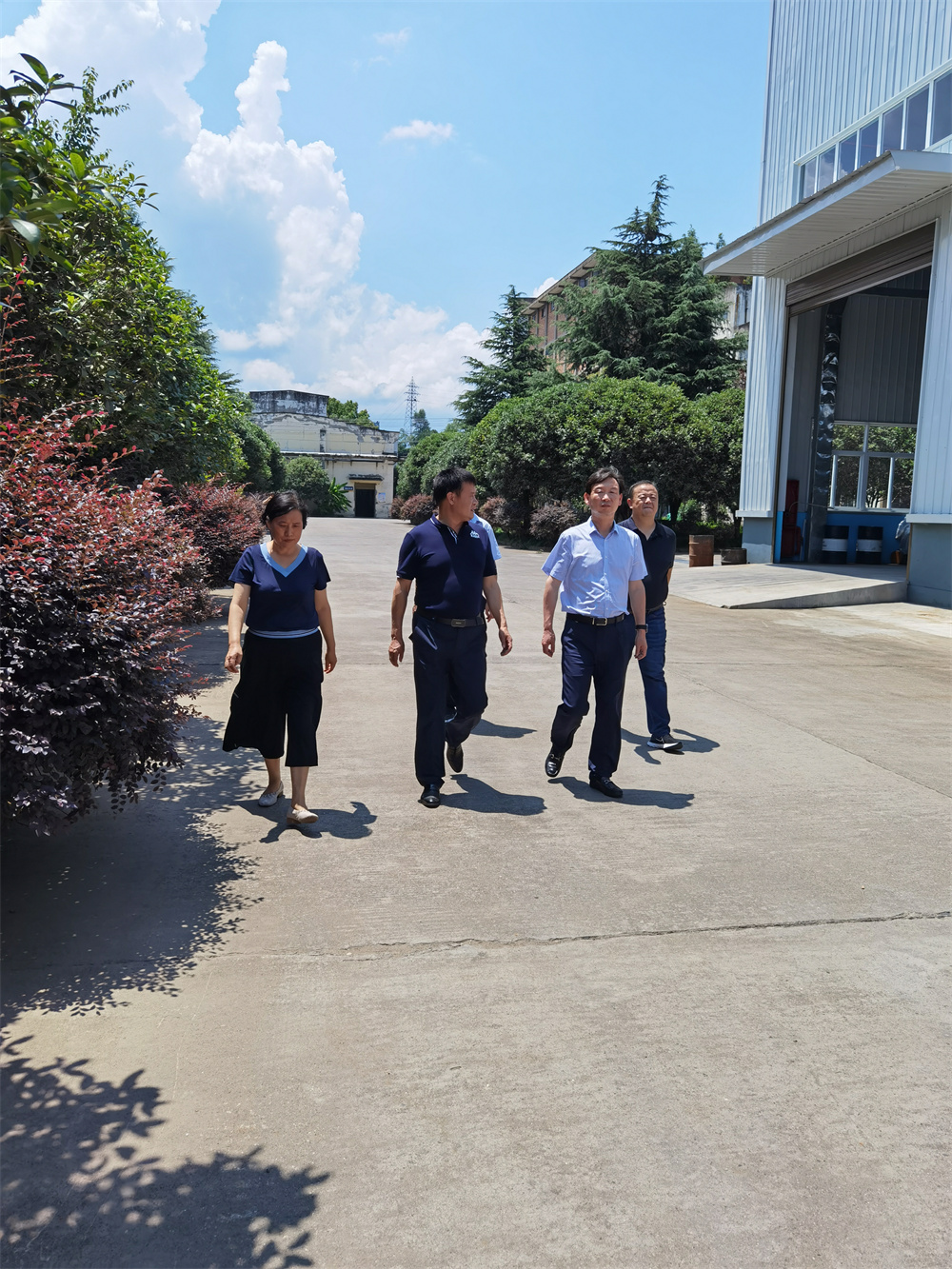 ä¸­å½åä¸åå±é¶è¡å®åº·å¸åè¡è¡é¿èµµæä¸è¡äººæ¥æå¬å¸è°ç çäº§ç»è¥æåµ